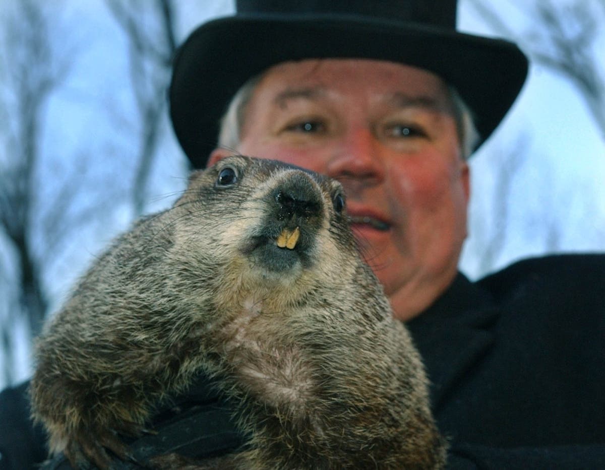 Punxsutawney Phil did not see his shadow on Groundhog Day. 