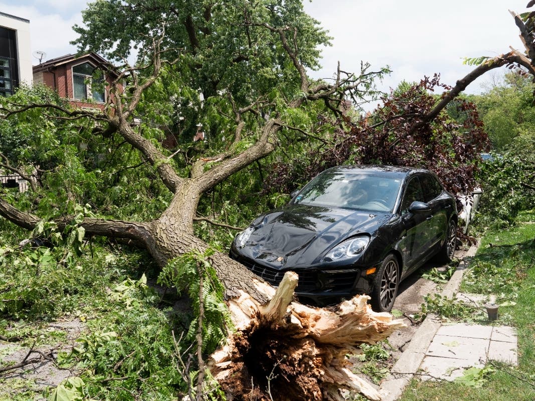 11 Tornadoes In IL From Monday Storms, Count Still Likely To Rise: NWS ...