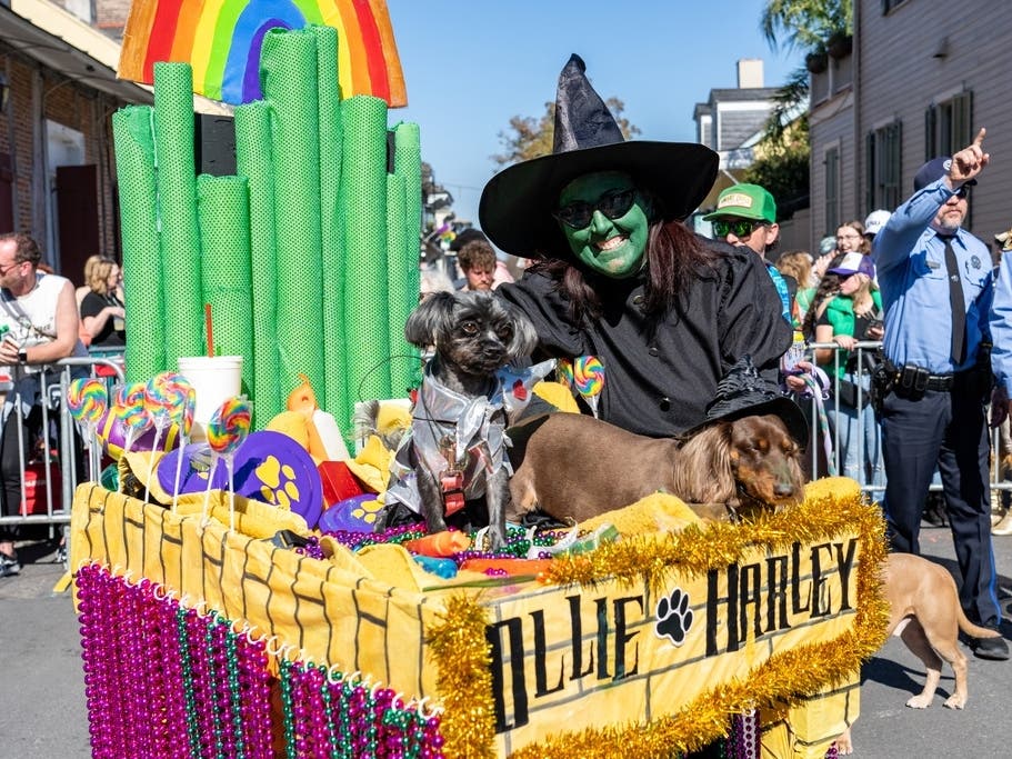 Attendees and their dogs celebrate during the annual Krewe of Barkus Mardi Gras parade on Feb. 8 in New Orleans. The carnival season concludes with Fat Tuesday, a final chance for Christians to cut loose before Lent begins on Ash Wednesday.
