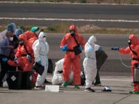 Andes Hantavirus: What You Should And Should Not Worry About