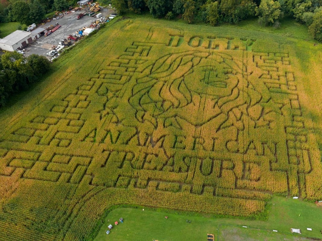 A portrait of Dolly Parton fills a 5-acre corn maze at Twins BBQ Co. in Brookfield, Connecticut.
