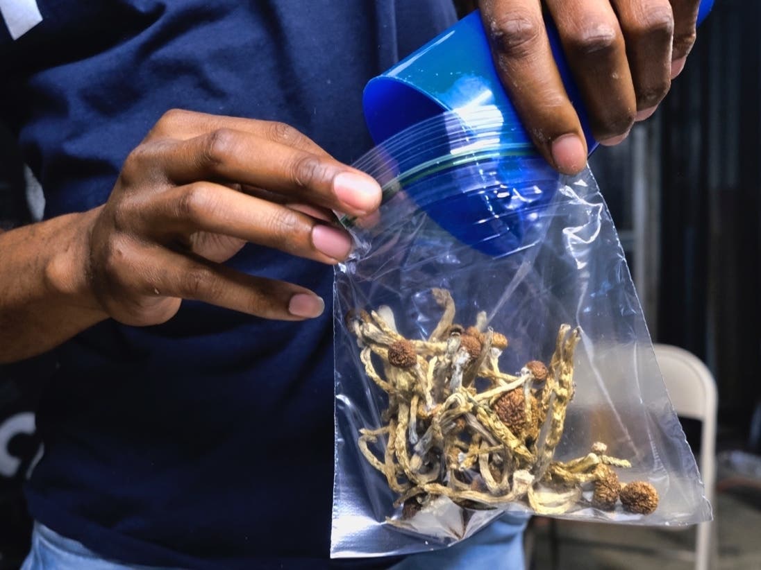A vendor bags psilocybin mushrooms at a pop-up cannabis market on May 24, 2019.