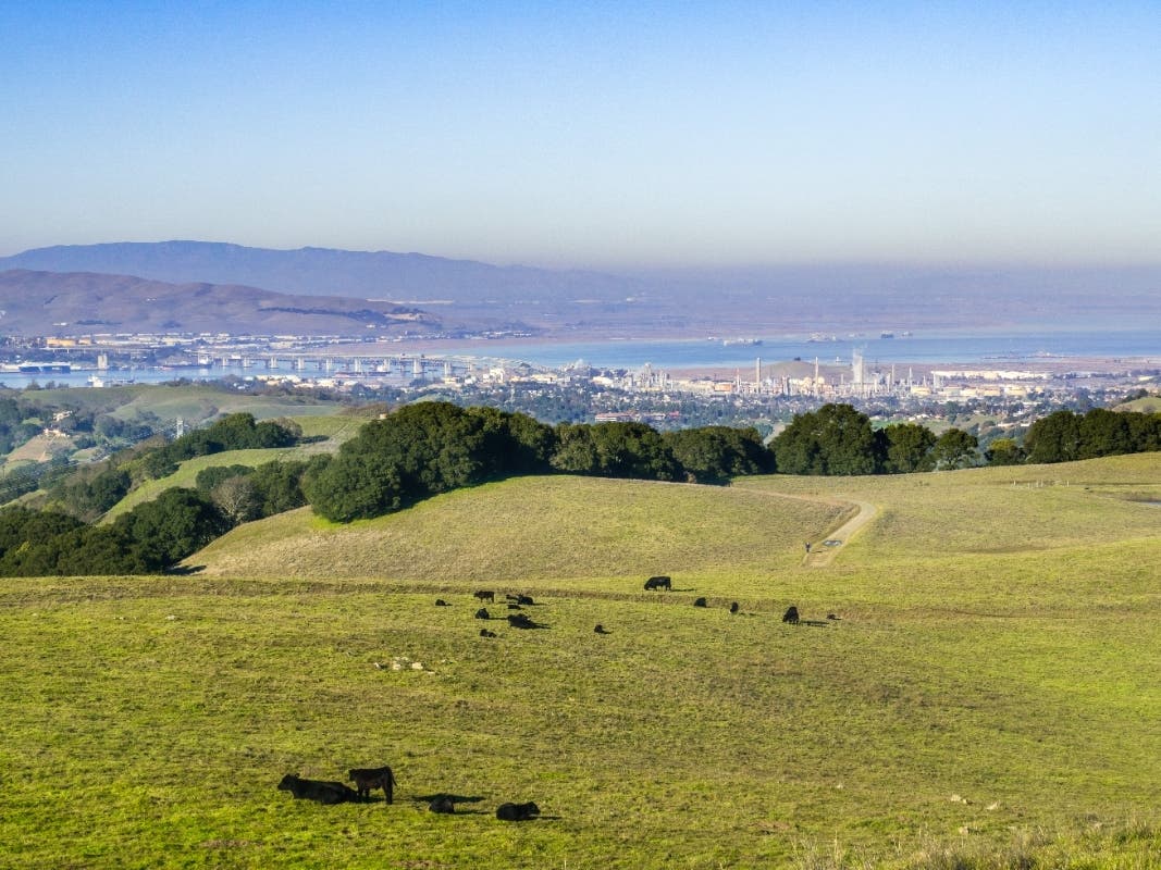 A view of the Bay Area from Briones Regional Park in Contra Costa County.