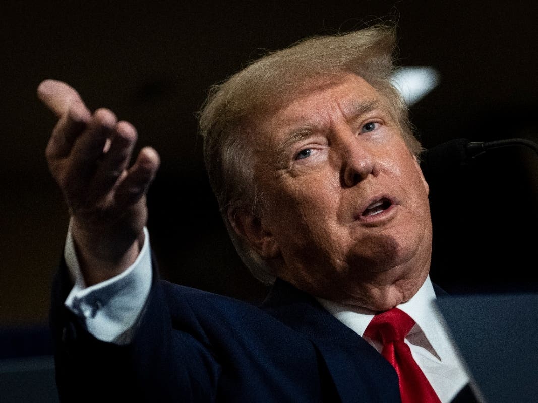 Donald Trump endorsed Leora Levy in the Republican primary U.S. Senate race.