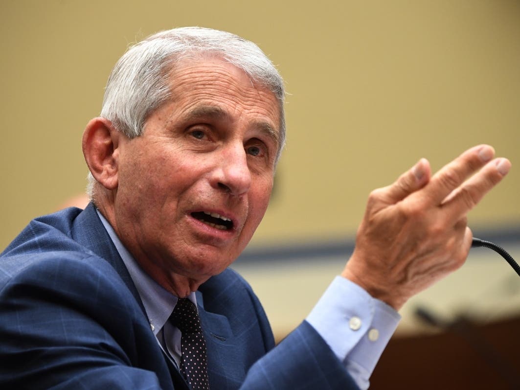 Dr. Anthony Fauci, director of the National Institute for Allergy and Infectious Diseases, testifies before a House Subcommittee on the Coronavirus Crisis hearing.