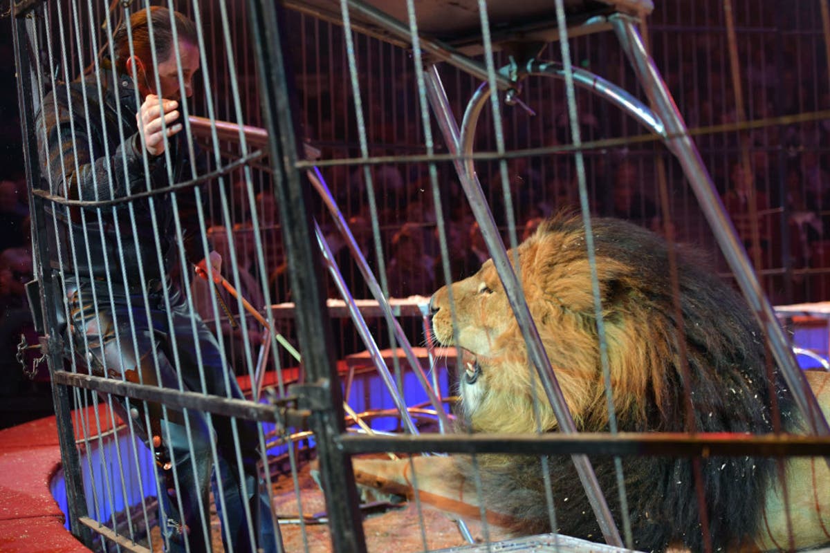 Lawmakers say that exotic animals are often kept in poor conditions, and hope the new legislation will prevent abuse.