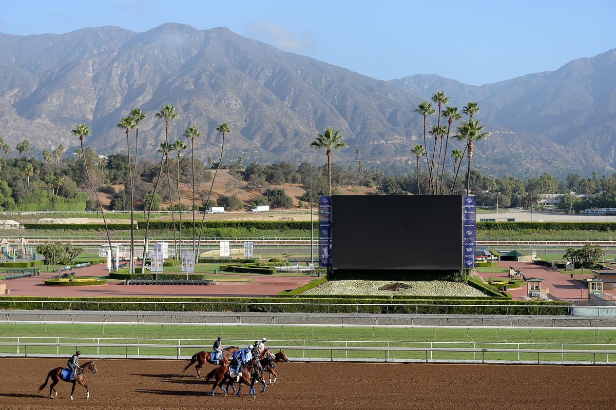  Horses are led to the track to train in preparation for the 2014 Breeder's Cup at Santa Anita Park on October 27, 2014 