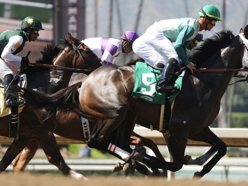 Racing Season Ends At Santa Anita After 30th Horse Dies