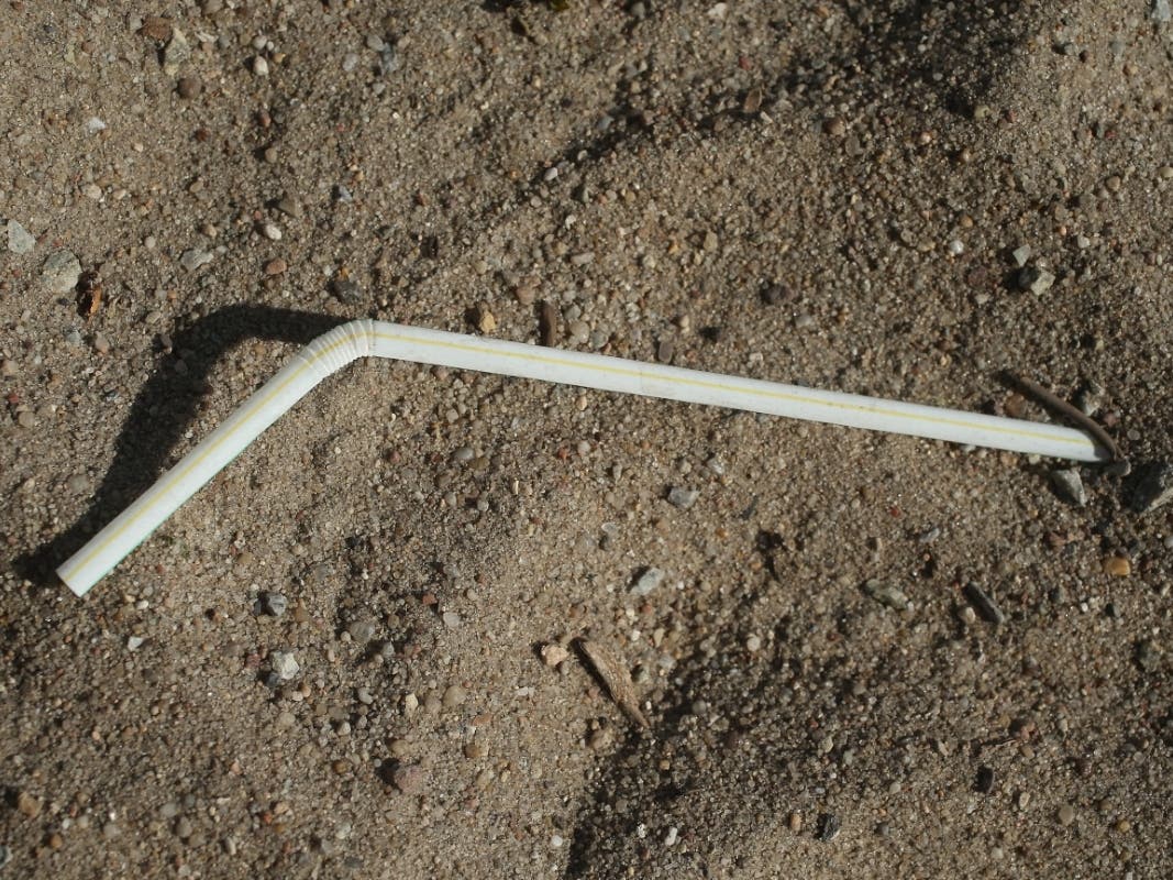 Clay Napurano, 17, wants to reduce straw use in Natick through a Town Meeting vote. 