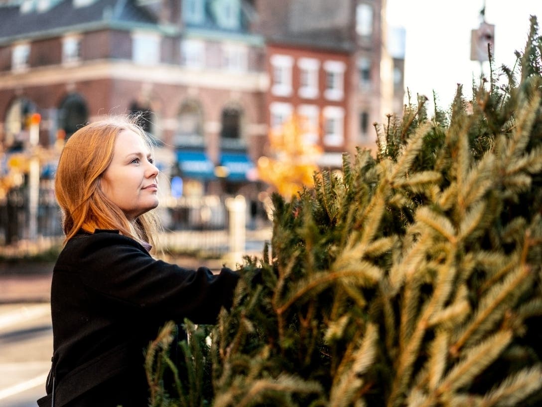 Where To Buy Christmas Trees In NYC MAP New York City, NY Patch