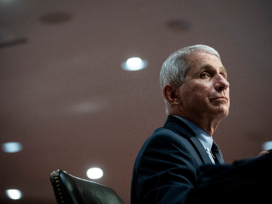 WASHINGTON, DC - JUNE 30: Dr. Anthony Fauci, director of the National Institute of Allergy and Infectious Diseases, listens during a Senate Health, Education, Labor and Pensions Committee hearing on June 30, 2020 in Washington, DC. 