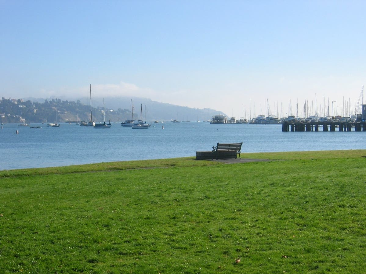 Starting in 2026, only seaworthy vessels can temporarily anchor in Marin County's Richardson Bay to protect the area's ecosystem, announced two overseeing agencies on Friday.