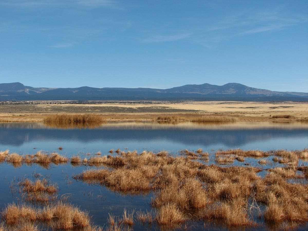 Nestled in California’s northeast corner, Modoc County calls itself the “last best place.” 