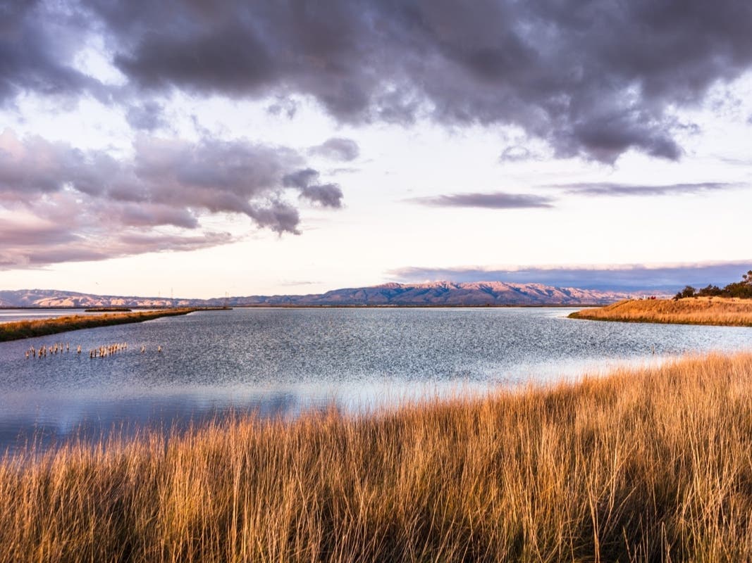 Scientists say the world has the next decade or so to avoid the most dire environmental scenarios, so we must invest in land restoration.