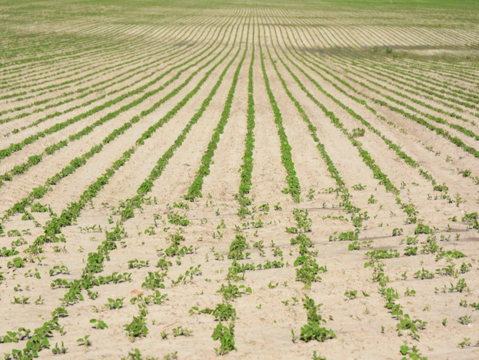 Here are some priorities the State Water Board and the Department of Fish and Wildlife can tackle now to get ready for the next drought.