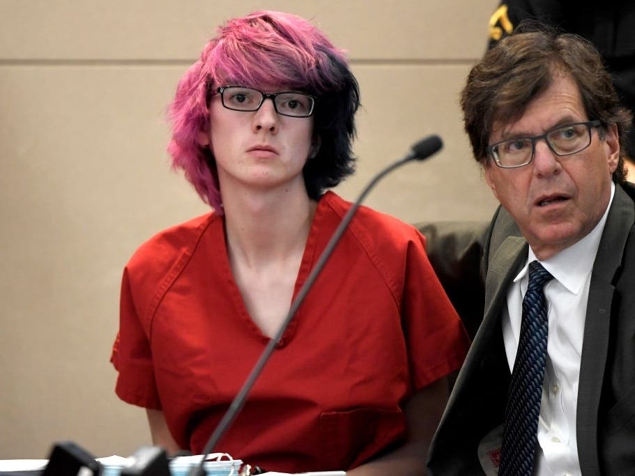 STEM School Highlands Ranch shooting suspect Devon Erickson, facing 48 criminal charges makes a court appearance at the Douglas County Courthouse 15, 2019 in Denver.