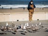 A man feeds seagulls on the beach during the coronavirus pandemic on May 03, 2020 in San Francisco, California.