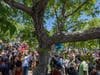 People demonstrate near the tree that authorities say Robert Fuller, a 24-year-old black man, was found hanging dead from near Palmdale City Hall on June 13, 2020 in Palmdale, California.
