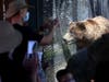Visitors view grizzly bears in their enclosure at the Oakland Zoo on July 29, 2020 in Oakland, California. 