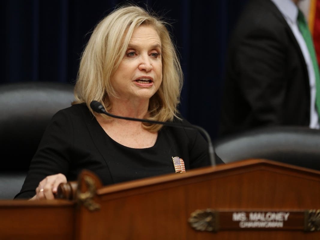 House Oversight and Reform Committee Chair Carolyn Maloney (D-NY) gavels in a hearing about the 2020 census in the Rayburn House Office Building on Capitol Hill January 09, 2020 in Washington, DC
