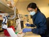 Medical laboratory scientist, Alicia Bui, runs a clinical test in the Immunology lab at UW Medicine looking for antibodies against SARS-CoV-2, a virus strain that causes coronavirus disease (COVID-19) on April 17, 2020 in Seattle.