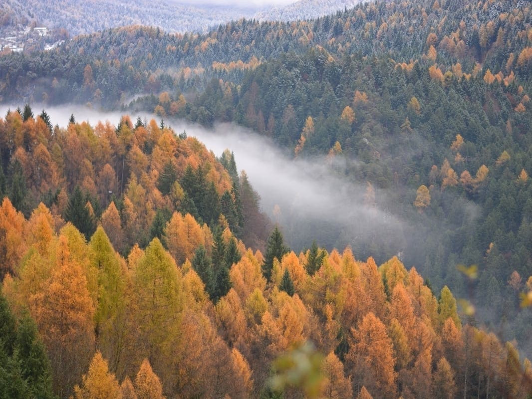 The latest fall and winter predictions herald good news for Puget Sound rain lovers. 