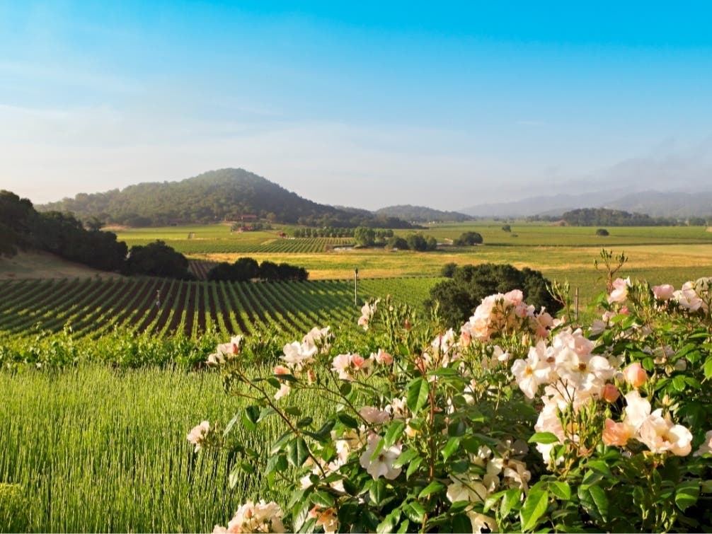 California's drought improvements will continue in the months ahead, thanks to a historic snowpack and spring rain.