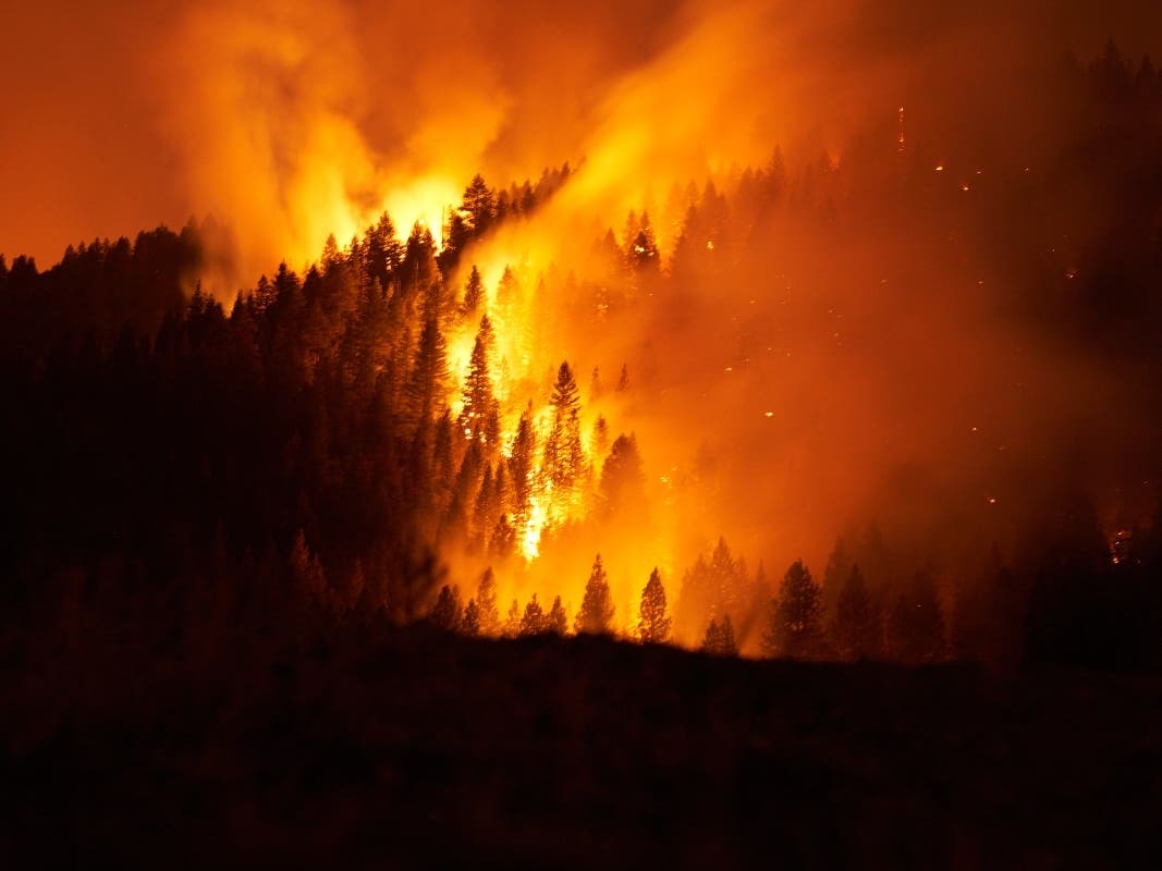 California's massive Dixie Fire continues to grow. As of Monday afternoon, it had charred over 725,000 acres and had destroyed more than 1,200 structures.