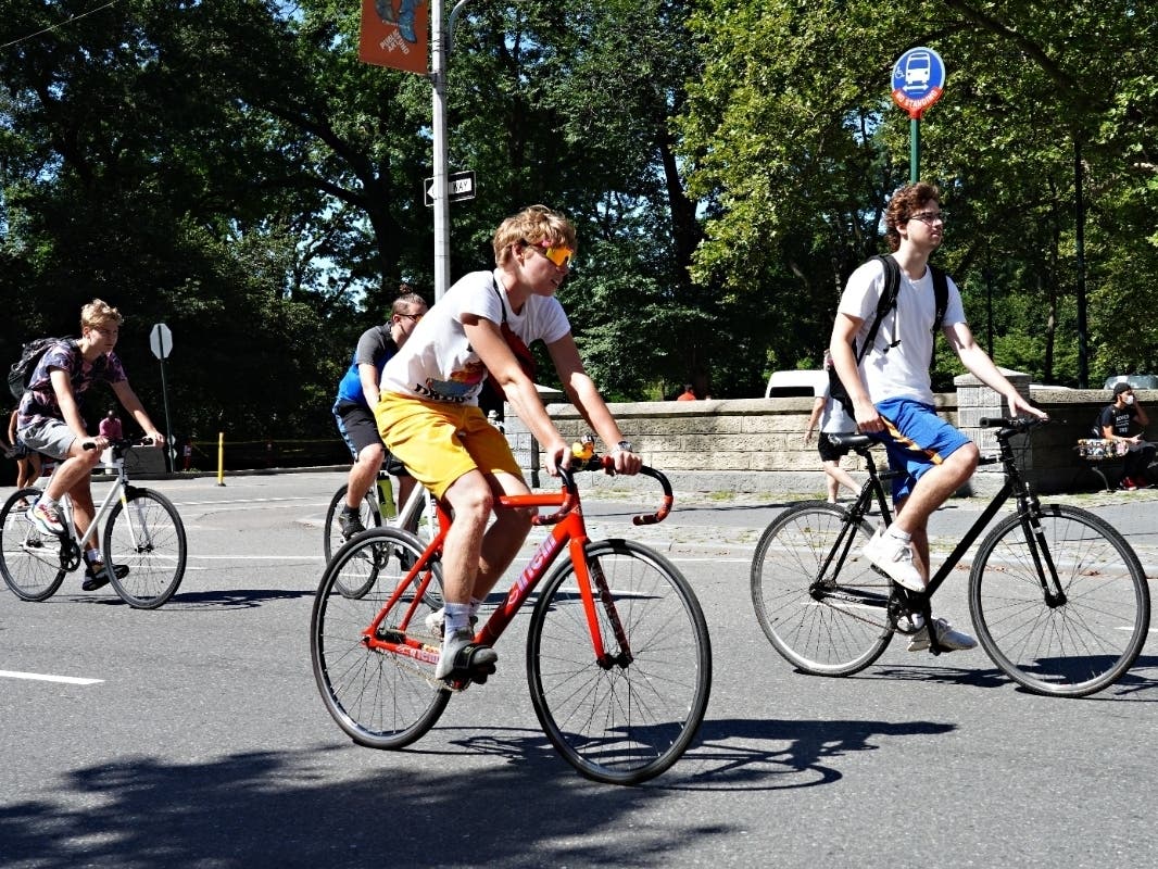 More than 1.7 million New Yorkers rode a bicycle last year as the coronavirus struck — a record but part of a decade-long uphill climb.