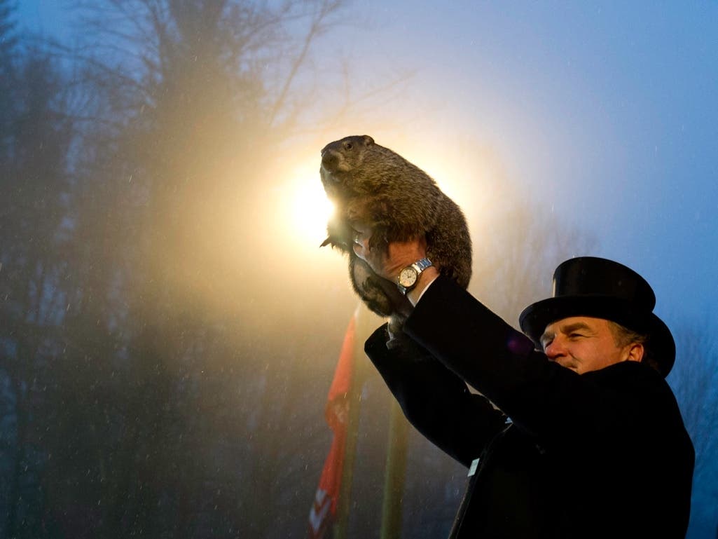 On Tuesday, groundhogs around the country, including Punxsutawney Phil in Pennsylvania, will make their annual spring arrival predictions.