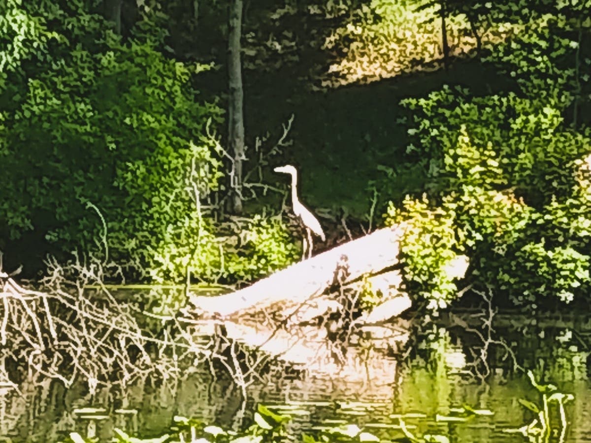 Yardley's location along the Delaware River provides a peaceful setting for locals who are seeking a quieter and more affordable way of live as opposed to some of their big-city neighbors.