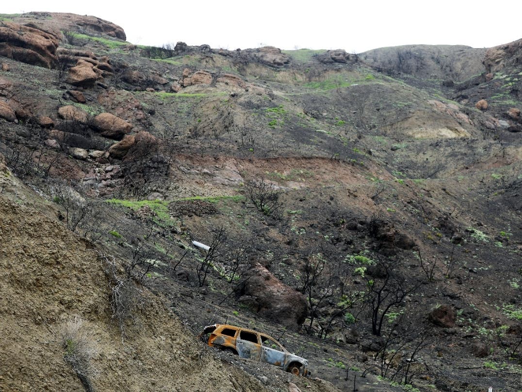 The Woolsey Fire decimated thousands of acres of protected parkland.