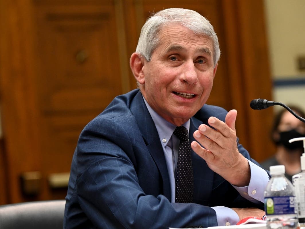 Anthony Fauci, director of the National Institute of Allergy and Infectious Diseases, testifies during a House Select Subcommittee on the Coronavirus Crisis hearing on July 31 in Washington, DC. 