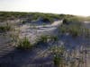 Sand dunes on Race Point Beach on May 25, 2020 in Provincetown, Massachusetts.
