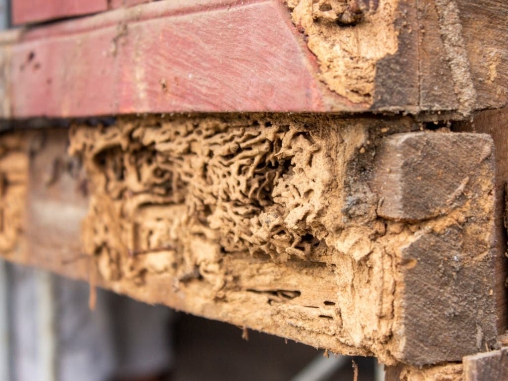 The program is still in its pilot phase and the patent is pending. 