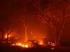 The burned out shell of a car sits in a burning field as the LNU Lightning Complex fire advances through the area on August 18, 2020 in Winters, California. 