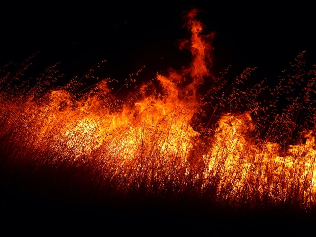 Flames burn through dry grass as the LNU Lightning Complex fire moves through the area on August 19, 2020 in Winters, California. 