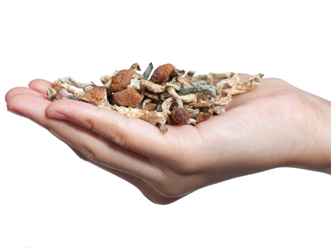 A January study in the Journal of Psychopharmacology​, demonstrated that a single psilocybin dose was able to produce an antidepressant and anxiolytic response in cancer patients that lasted for five years. 