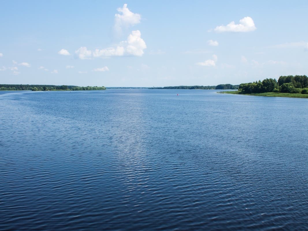 A Tehama County boy died last week after he was infected with a rare brain-eating amoeba. Authorities suspect he was infected after swimming in a Northern California lake, according to reports. 