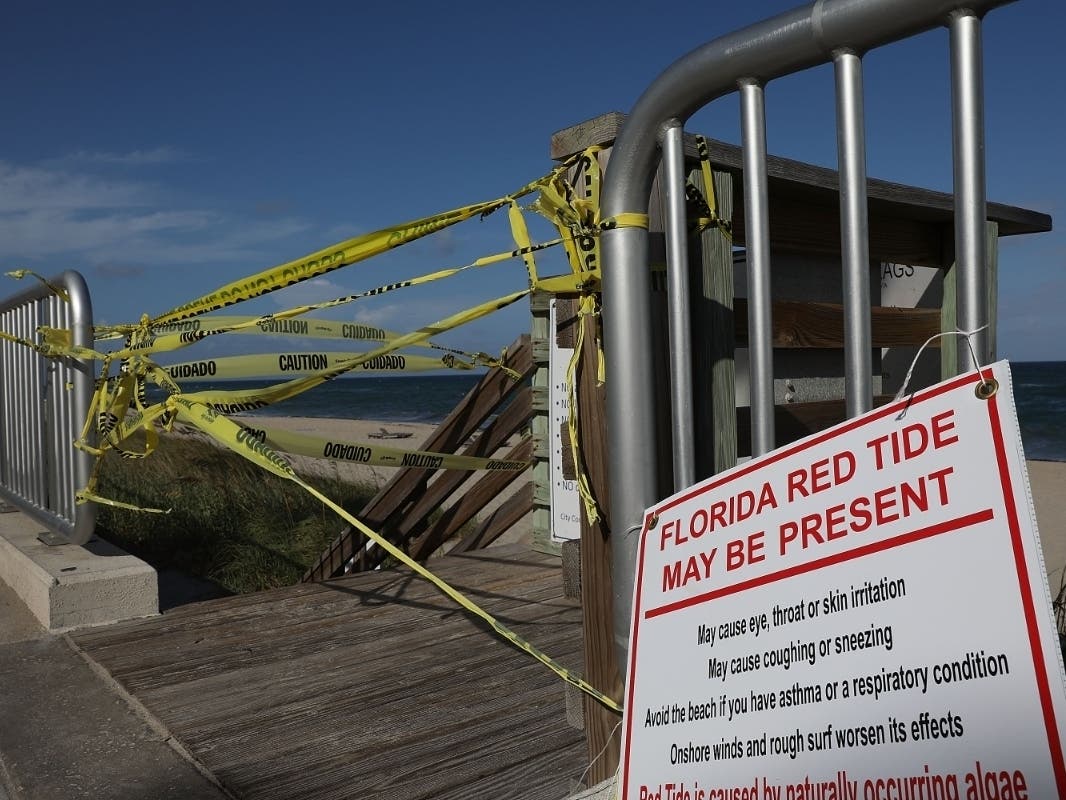 The Department of Health in Sarasota County sent out a health alert because of elevated levels of red tide at area beaches.