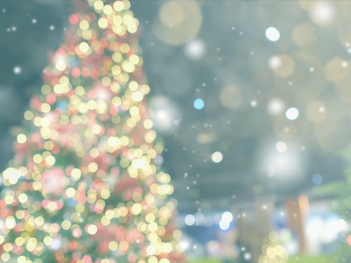 A file photo of a Christmas tree.