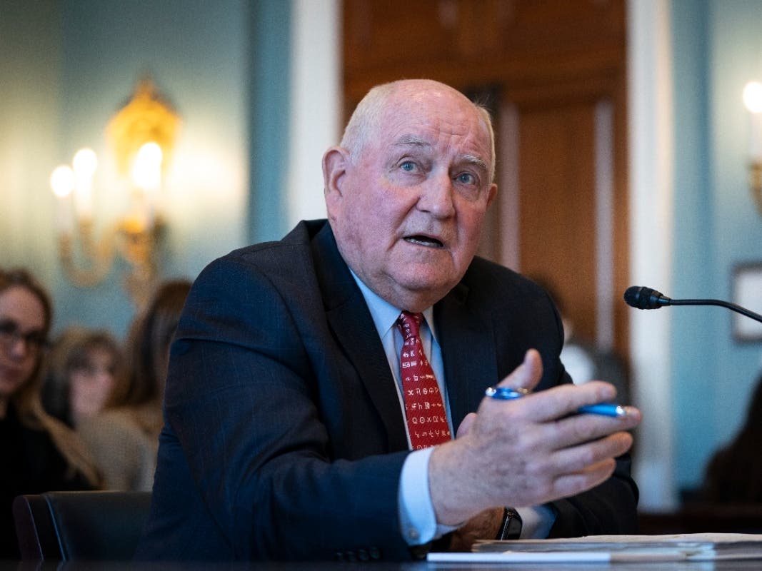 The Georgia Board of Regents named former U.S. Secretary of Agriculture Sonny Perdue the sole finalist for chancellor of the University System of Georgia on Tuesday.