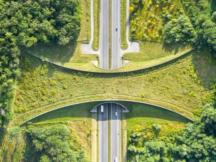 A wildlife crossing is coming to Agoura Hills to protect vulnerable wildlife.