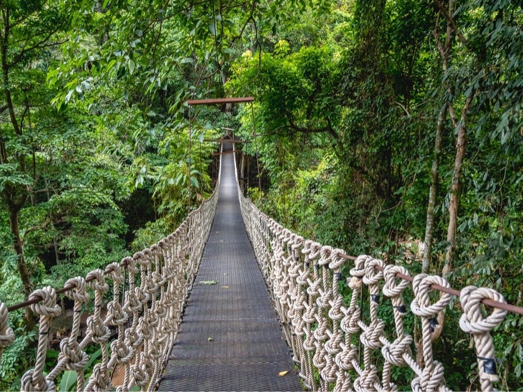 Barnett said the park will get a new "Indiana Jones style rope bridge."