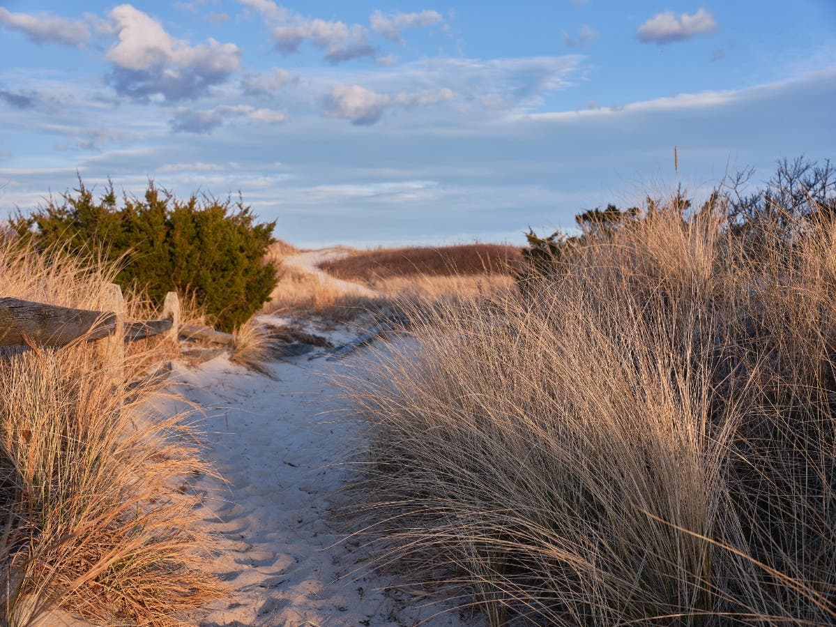 Explore this beautiful hidden beach at the Jersey Shore.