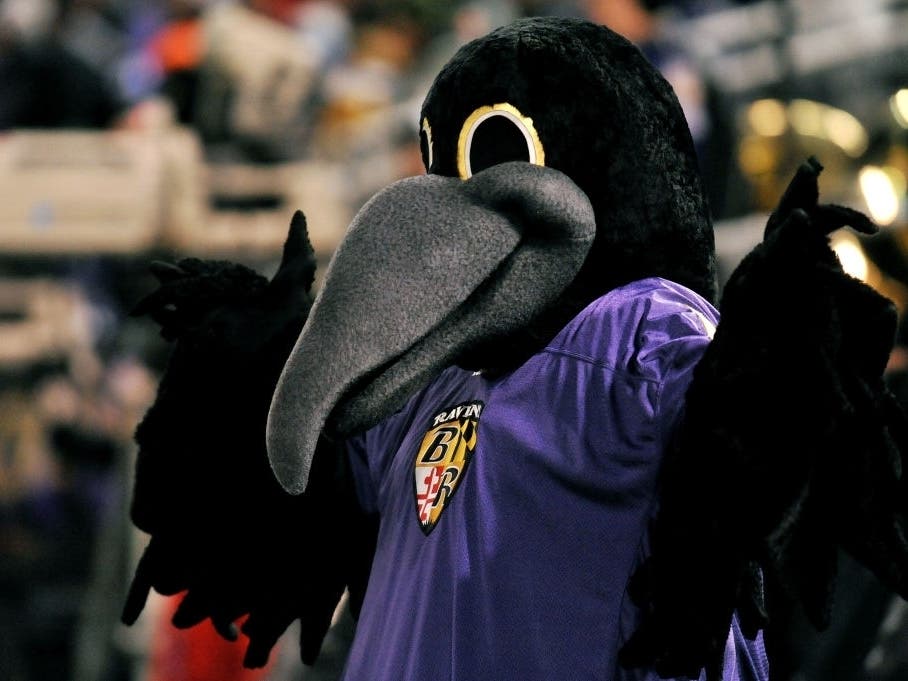 Ravens mascot Poe will be in attendance at the Jan. 10 Rally for the Ravens event in Bel Air.