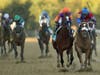 On the far right, Swiss Skydiver #4 won the 145th running of the Preakness Stakes at Pimlico Race Course, with Jockey Robby Albarado.