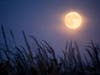 This year’s harvest moon will occur on Monday. The moon will appear full for about three days around this time, from Sunday morning through Tuesday morning.

