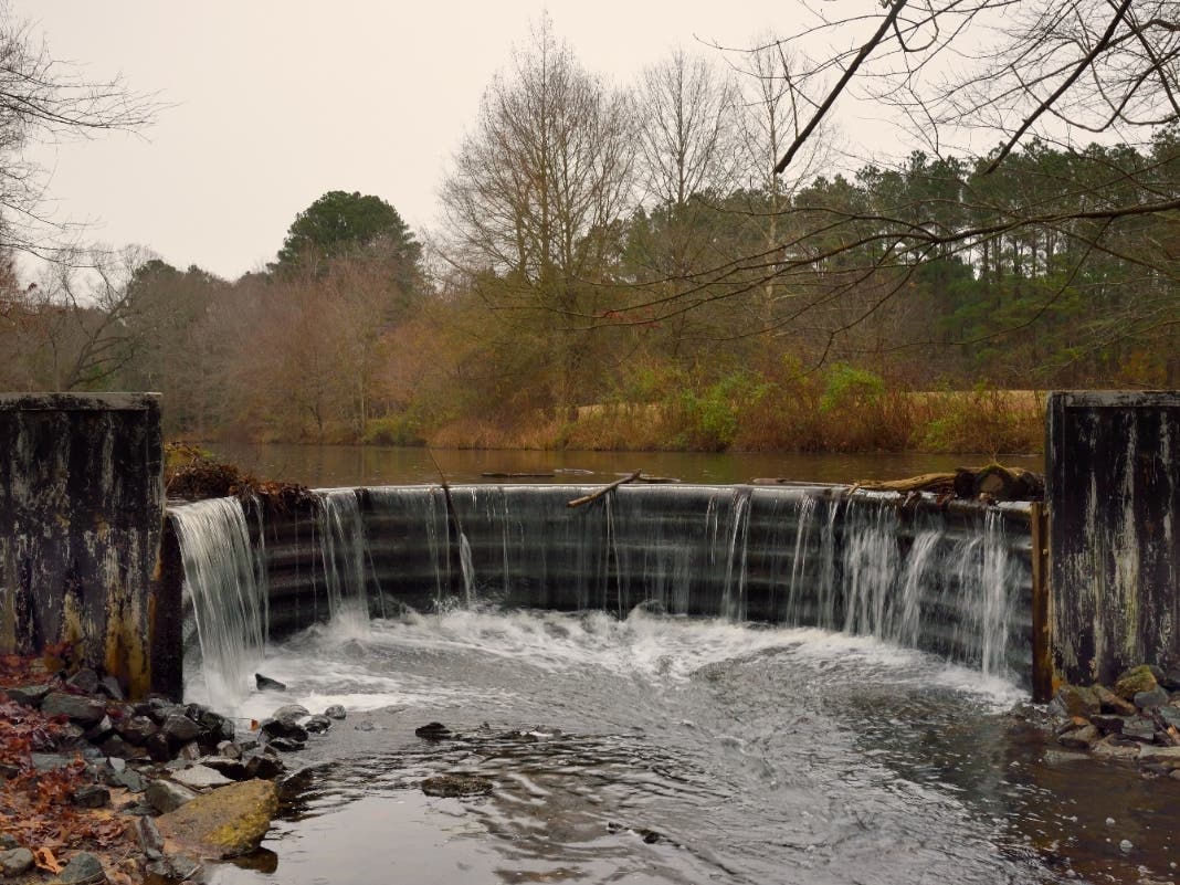 The picnic area on a small island in the Pemberton Historic Park pond is a popular spot in Salisbury, Maryland. The Eastern Shore community is one of two Maryland cities on the 2021 Best Places To Live list by U.S. News & World Report.