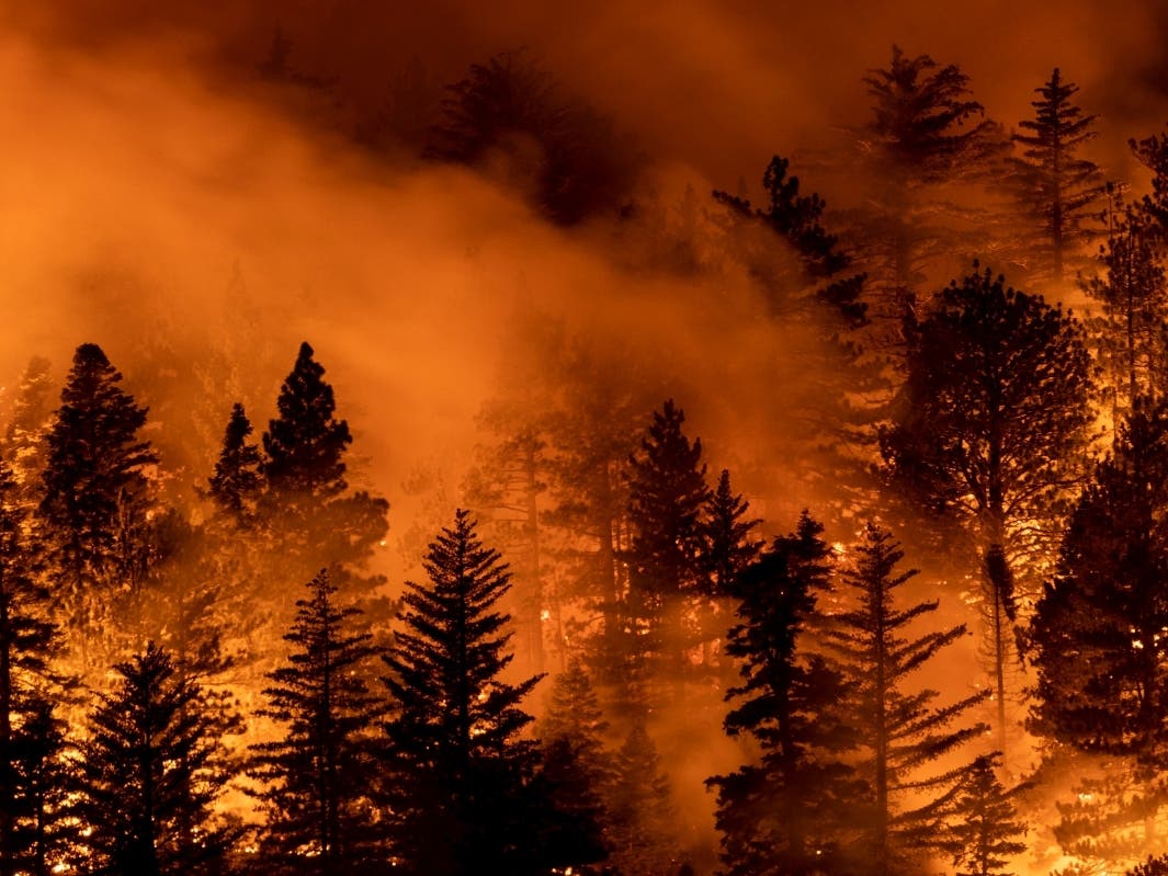 MONROVIA, CA - SEPTEMBER 11: The Bobcat Fire burns through the Angeles National Forest on September 11, 2020 north of Monrovia, California. California wildfires that have already incinerated a record 2.3 million acres this year.